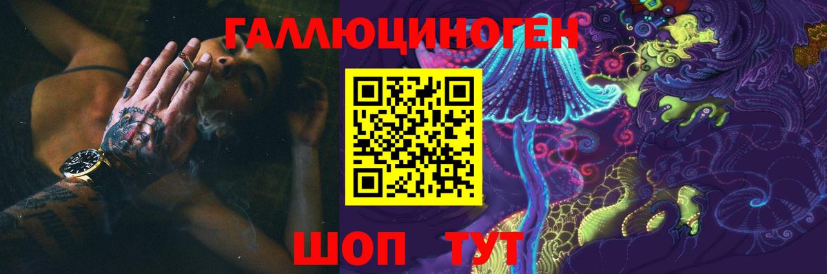 Галлюциногенные грибы Psilocybine cubensis Чистополь
