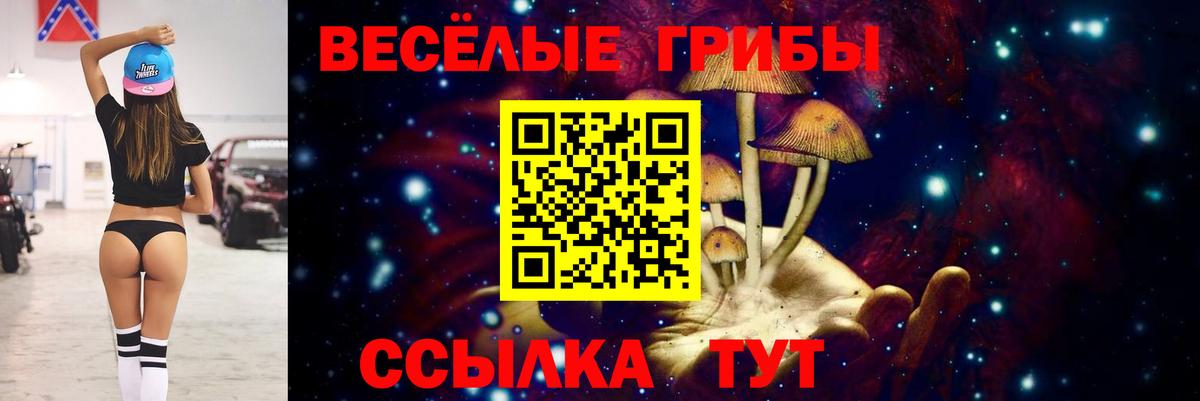Чистополь  Псилоцибиновые грибы Psilocybe  Вход с VPN 